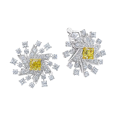 Diamond earrings, white gold